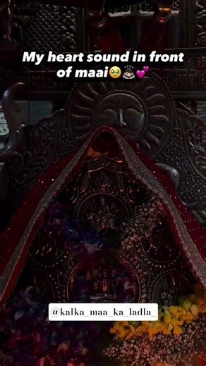 Subscribe the channel plz 🥹🥹🥹