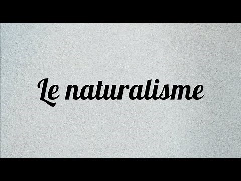 Le naturalisme | L'essentiel en moins d'une minute