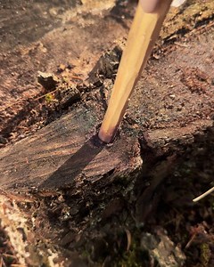 99K views · 129 reactions | How To Start Fire With a Stick! | Crafty Panda | Facebook