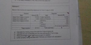 Below is the income and expenditure statement for Fran's Fudge ... | Filo