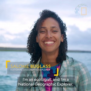 Explorer Salomé Buglass is a marine ecologist with a deep passion for ocean conservation. Working with the Charles Darwin Foundation in the Galápagos Marine Reserve, Salomé uses remotely operated vehicles to survey and sample seamounts — large geologic landforms that rise from the ocean floor. Learn more about how Salomé is pioneering studies to explore the ecosystem on seamounts: http://on.natgeo.org/6183H427d | National Geographic Society