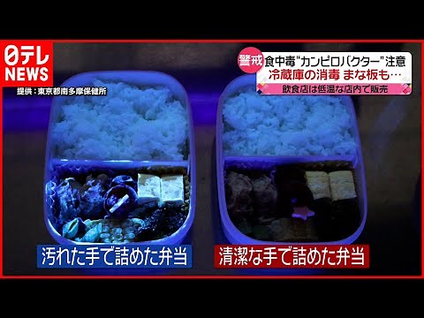 【“カンピロバクター”に注意】高温多湿“食中毒”のシーズン お弁当作りでの対策は？