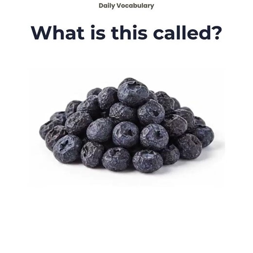 Build Your Vocabulary#englishreels#studyenglish#englishlanguage#speakenglish#englishclass@vocabury13