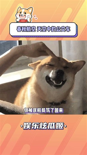 Spring Airlines' Sky Bus: The Real-Life Adventure