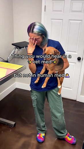 At Beyond Pets Animal Hospital, every day comes with surprises you definitely won’t find in human medicine 🤣 From mystery “treasures,” unexpected squirts, and laundry discoveries we never asked for, our team knows how to laugh through the chaos while still giving every patient the highest quality care. We joke, we have fun, and somehow we manage to stay professional while upside-down, drenched, or sprinting down a hallway 😂💙 Through all the unpredictable moments, one thing stays constant: pra