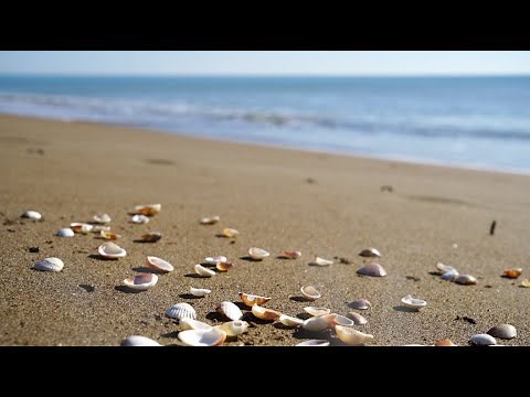 015 SDA Hymn - My Maker and My King (Singing w/ Lyrics)