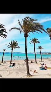 11K views · 519 reactions | Weather Playa/Platja de Palma today and...