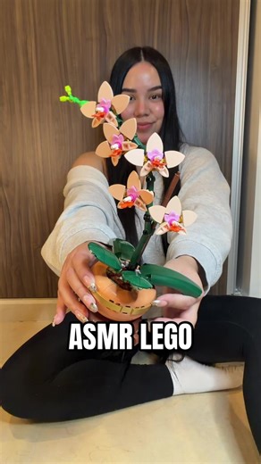ASMR LEGO | Armando un lego ASMR | #asmr #asmrlego #lego @LEGO