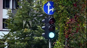 Traffic lights and road sign. Traffic lights. Light signal switching. In the background - green trees and vines