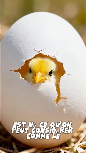 Which came first: the chicken or the egg?