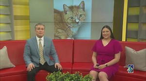 Pet Of The Day: Joan Mitchell