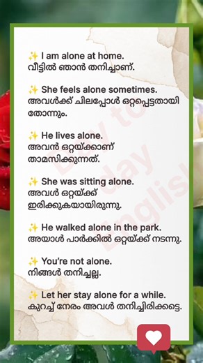 31K views · 193 reactions | Simple Sentences with “Alone”#EnglishSentences #LearnWithMalayalam #DailyUseEnglish #SimpleEnglish #EnglishVoice | Day To Day English | Facebook