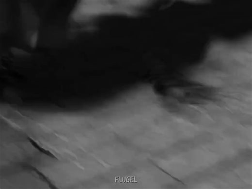 Understanding Kung Fu Panda's Lord Shen Character