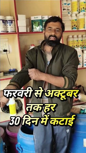 गर्मी में भी मिलेगा हरा सोना 🌱🔥6–8 बार कटाई वाला सुपर चारा 💪दूध बढ़े, पशु रहें तंदुरुस्त 🐄🐃#हराचारा