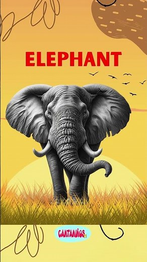 Los Animales De África En Inglés Parte 1 #animalesparaniños #animales #animalesdelmundo