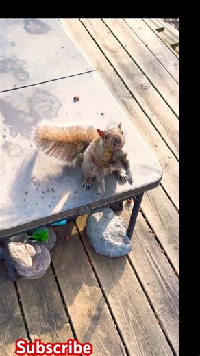 S-Curve só pro! ⚾️