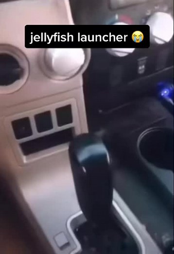 skelumm (@skelumm)’s videos with original sound - skelumm