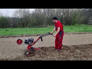 Sadba brambor s VARI 2021