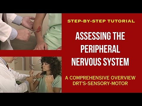 How to Assess the Peripheral Nervous System