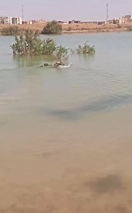 Aayo mjo 😂#funny #comedy | Rupa Ram