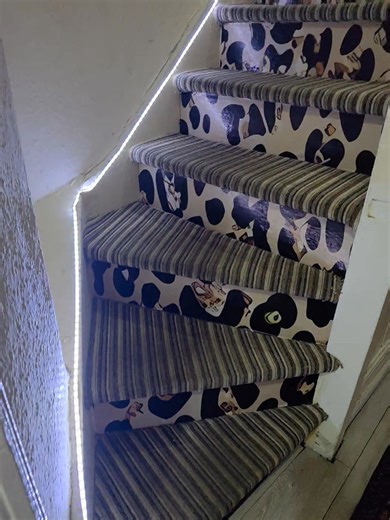 Stacey Hart on Reels