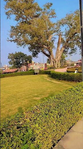 #shortvideo #ayodhyaramkipaidi #shuryakund #ayodhyarammandir