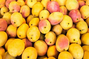 A look at the current state of the US mango market