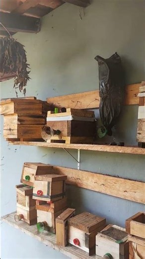 Transferência de Mandaguari preta