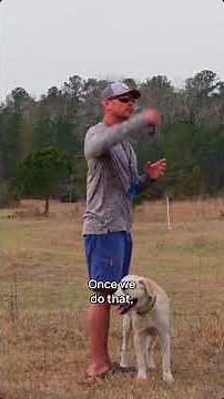 Line communication: cues and body language to lock your dog in