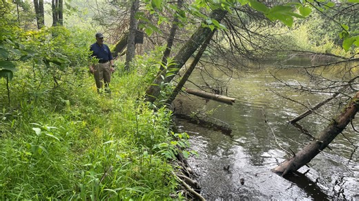 Northwoods trout fishing site undergoes major improvements for better public access