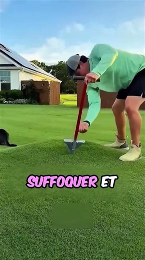 Pourquoi Tu Ne Dois Jamais Sauter Dessus 😱🌱