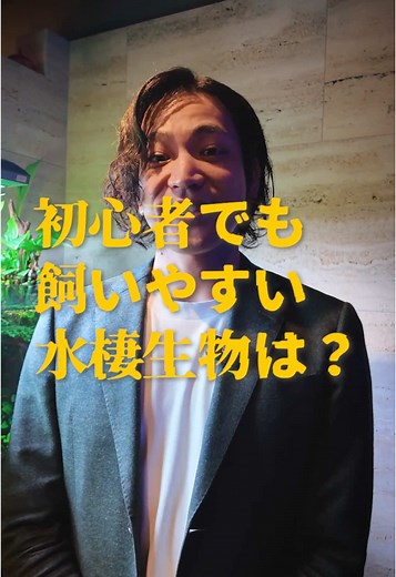 初心者必見のアクアリウム入門