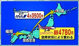 格安航空ピーチ・アビエーションのサービスは？
