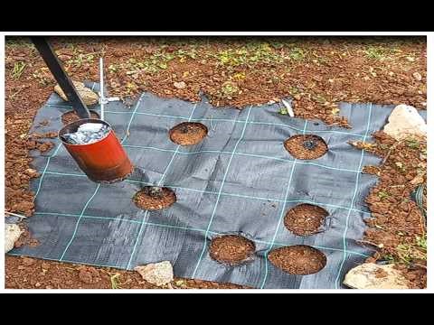 ΠΩΣ ΚΑΝΟΥΜΕ ΤΡΥΠΕΣ ΣΤΟ ΓΕΩΥΦΑΣΜΑ ΣΤΟΝ ΛΑΧΑΝΟΚΗΠΟ