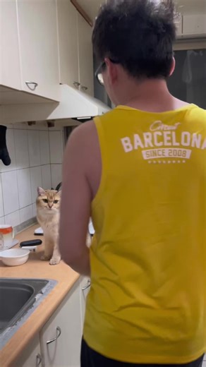 Playful Young Man Interacts with Adorable Cat