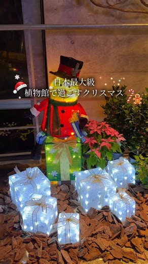 淡路夢舞台【公式】/ Awaji Yumebutai on Instagram: "日本最大級の植物館で楽しむ クリスマスデート 🎅🏻🎄 : English follows Japanese Location @awaji_botanicalg Photo by @awaji_yumebutai ⸻ 淡路夢舞台公苑温室「あわじグリーン館」では、 冬の企画展示 『ウィンターガーデン 〜 心華やぐ 色と光の祝祭 〜』 を開催中 （2026年1月12日（月祝）まで） 植物×イルミネーションが織りなす幻想空間💐 雨の日も寒い日も、あたたかい温室でゆっくりデートできます⛄️ ⸻ 🕒 開催情報 📍 ウィンターガーデン（あわじグリーン館） @awaji_yumebutai / @awaji_botanicalg 期間：2025/11/22(土)〜2026/1/12(月祝) 休館日：12/11(木)、1/8(木) 通常：10:00〜18:00（最終受付17:30） 夜間特別開催： ・11/22〜12/21の土日祝 ・12/22〜12/25 → 10:00〜20:00（最終受付19:30） 