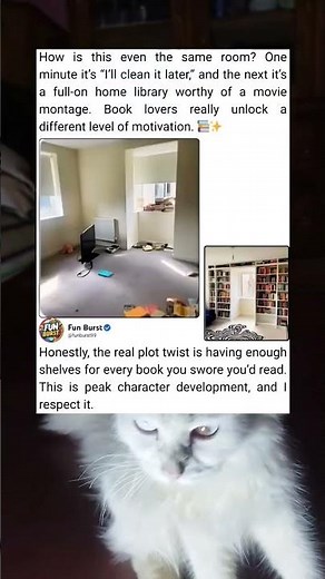 A Calm Room Turned Into a Cozy Library