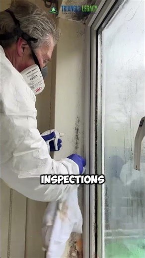 Think You’ve Found All the Mold Triangle Legacy Has the Tools to Find Hidden Mold—Call Now! #shorts