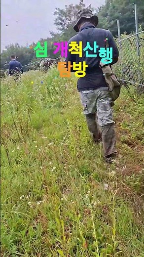 삼백초 효능~ 노이즈 상상속의