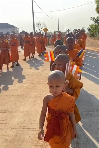 Young Novice Monks Walk for Peace in Thailand - Children Meditating