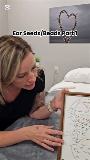 Holistic Institute on Instagram: "Ear seeds..what are they and why does everyone love them? 👂🌱 We’re kicking off a 2-part ear seed series with Acupuncturist Courteney Kenning. Part 1 is all about the basics you need to know. Follow along for Part 2 👀 #earseeds #acupuncture #auriculotherapy #holistichealth #integrativemedicine"
