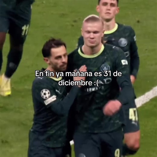 En fin ya mañana es 31.#fypシ #videosparati #triste #diciembre #fypシ