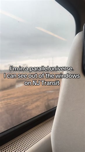 I’m in the upside down. I can see out of the windows on my NJ train home today. I actually knew where I was. It was wild. #njtransit #nj #newjersey #train #commute #travel