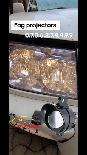 Easy Installation of 3 Colors Fog Projectors for Dogs