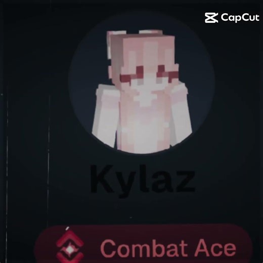 top ten Minecraft players