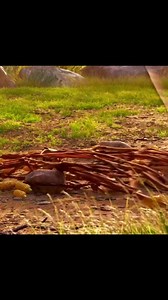 Good Dinosaur #MovieClips #reelsfypシ #reelsfb #VideoNotMine #followformore #thanksforwatchingmyreels #reelsmakemoney #VideoIsNotMine #movieclips #followformore #thanksforwatchingmyreels #followmypage | Ratul