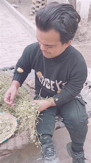 Vicky Kodu Badshah Salamat Music Video Highlights