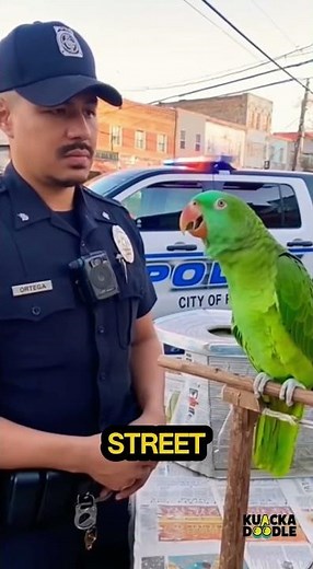 Bored Cop Gets Roasted by a Parrot!