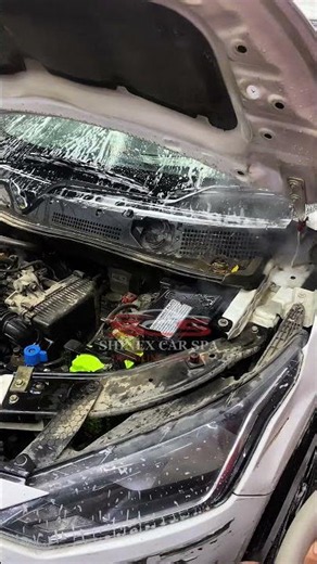 #enginecleaning #steamcleaning #asmr #satisfying #deepclean #cardetailing #carcare