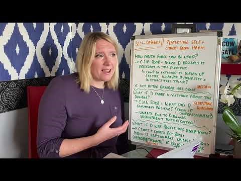 Consent and self-defence summary